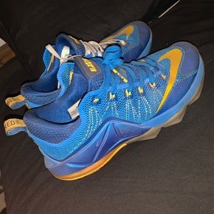 Lebron shoes